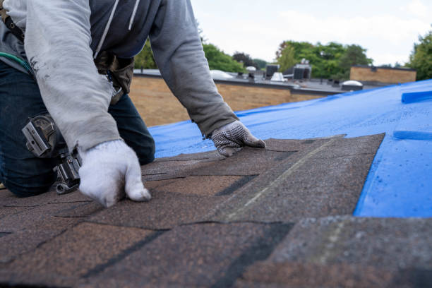 Best Roof Gutter Cleaning  in Weldon, NC