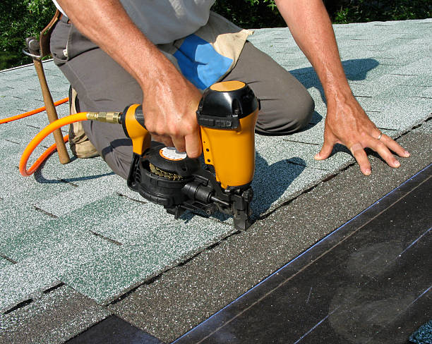 Best Metal Roofing Contractor  in Weldon, NC